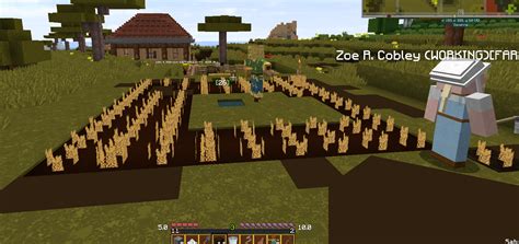 minecolonies farmer not planting.